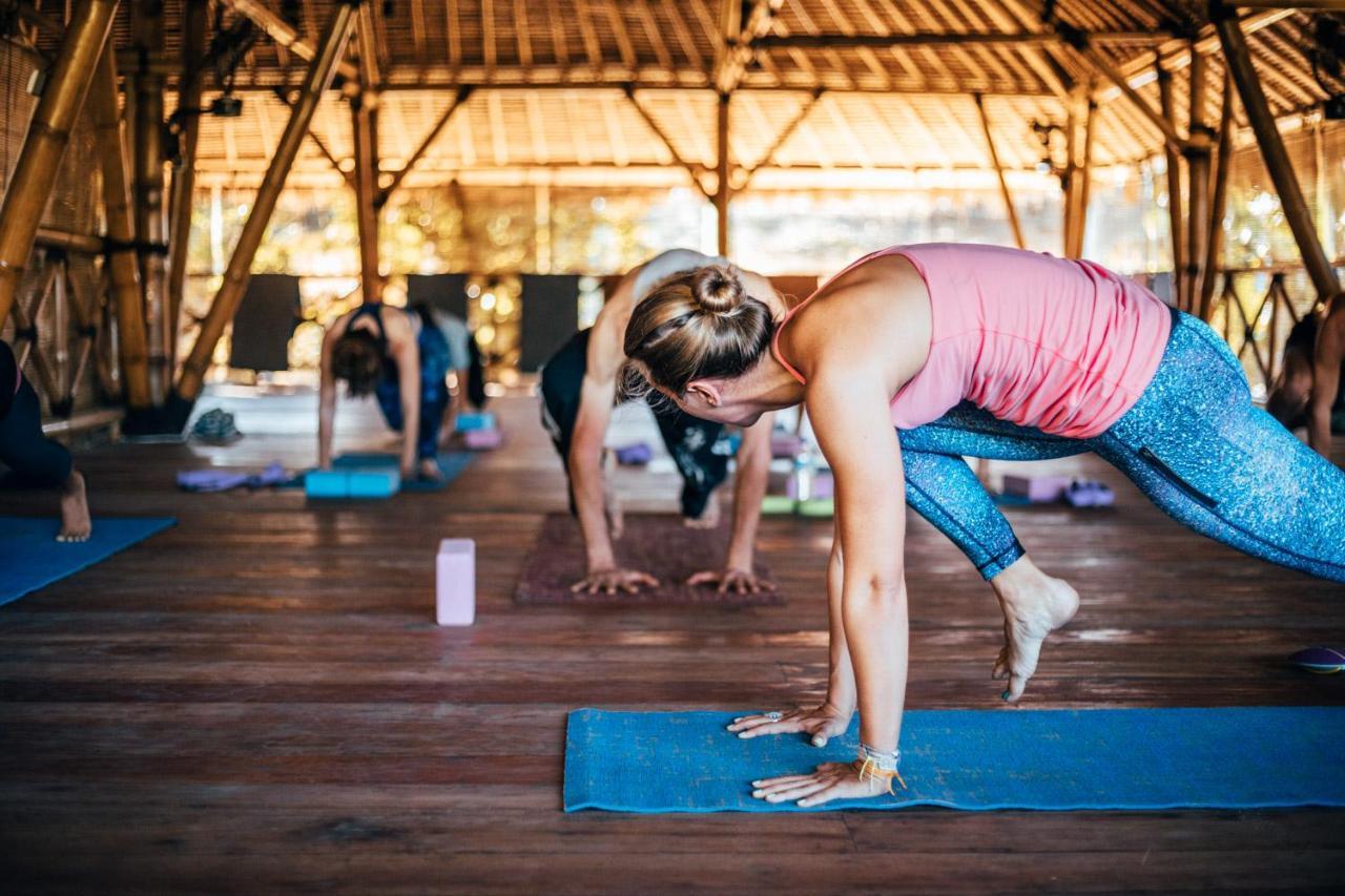 גילי אייר Flowers & Fire Yoga Garden מראה חיצוני תמונה
