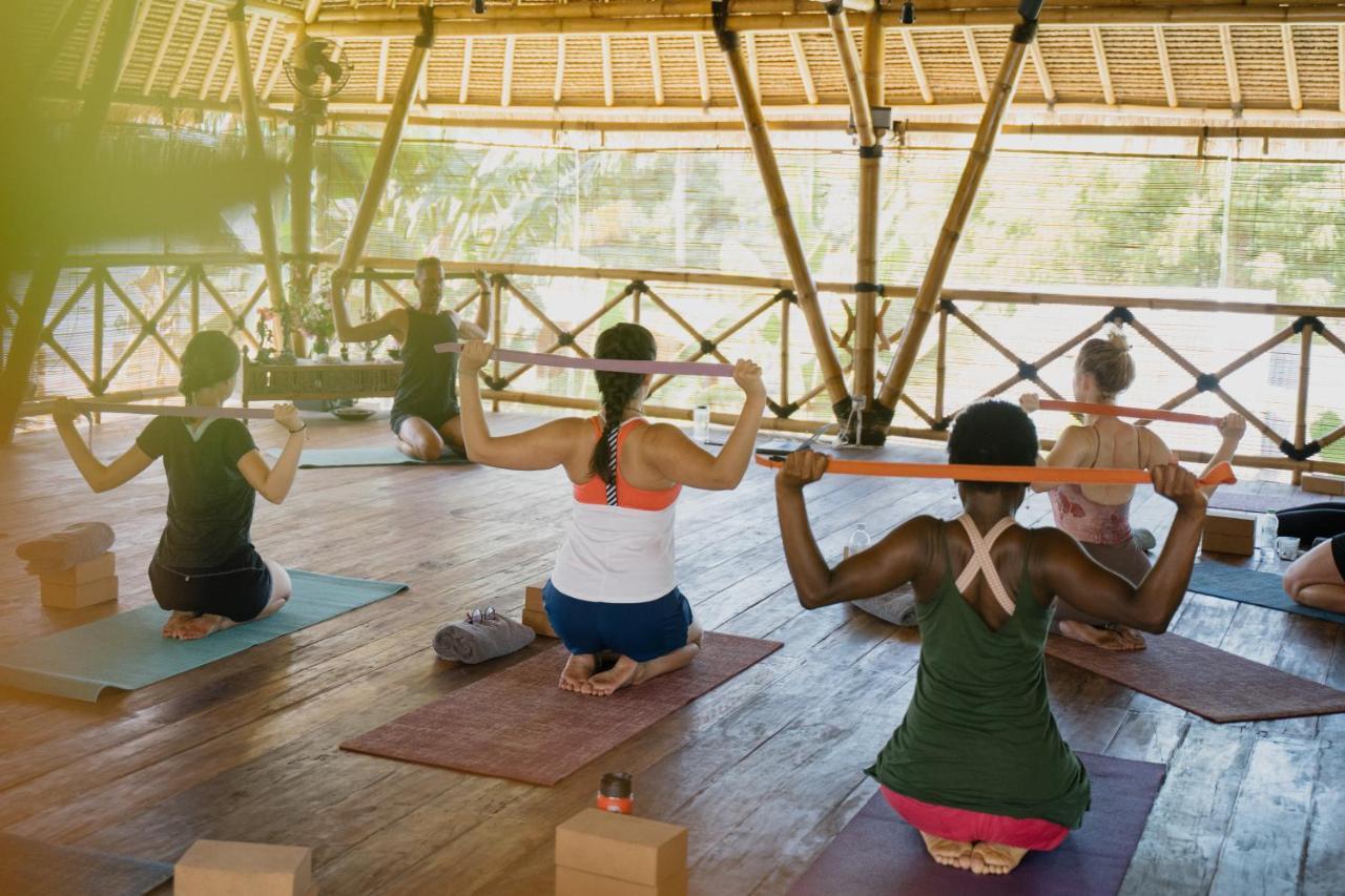גילי אייר Flowers & Fire Yoga Garden מראה חיצוני תמונה